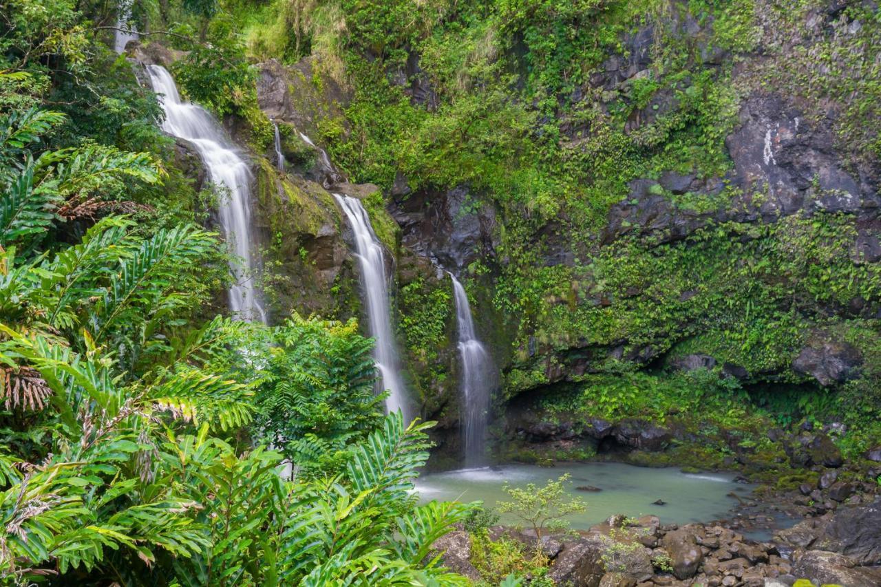 Kaleialoha 213 Villa Lahaina Buitenkant foto